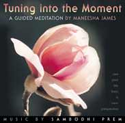 Tuning into the Moment cd cover