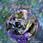 One Hour Long Bird Song cd cover