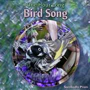 One Hour Long Bird Song