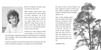 Forest of Dreams liner notes